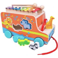Bino Houten Plug-in Auto Met Xylofoon