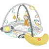 Fisher Price Snuga Monkey Sportschool -Randwinkel Voor Kinderen fisher price snuga monkey sportschool a396148