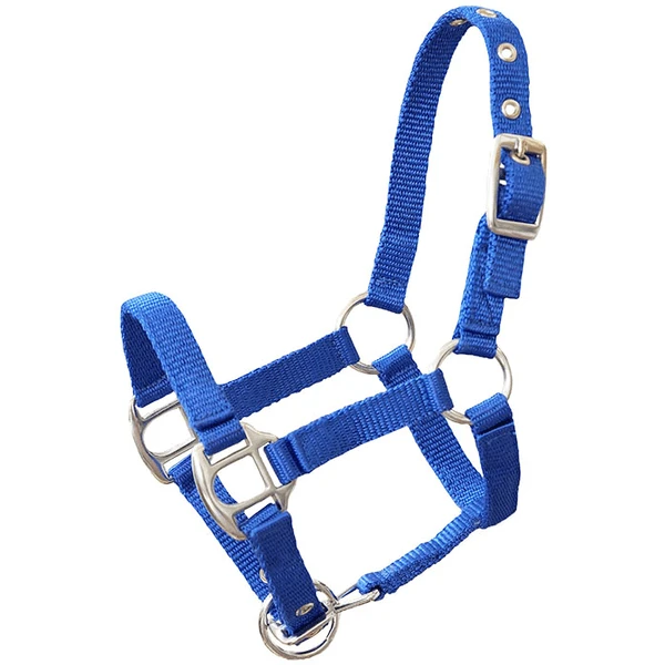 Helga Kreft Tuinpaardenset Tamme, Blauw - Image 5