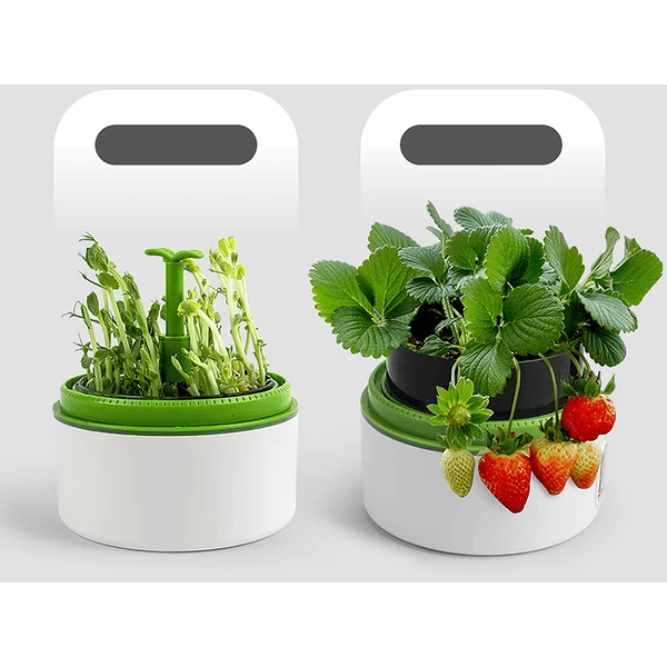 Science Can Plantengroei... Station - Afbeelding 4