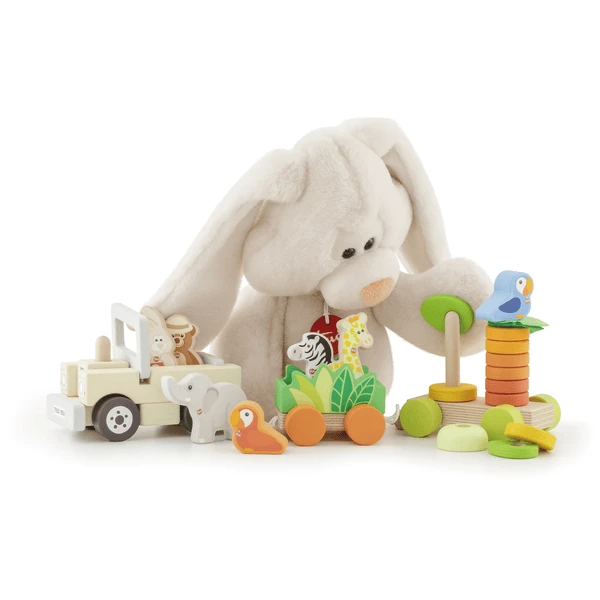 Trudi Door Sevi Houten Speelgoed, Motoriekenspeelgoed, Educatief Speelgoed - Image 3